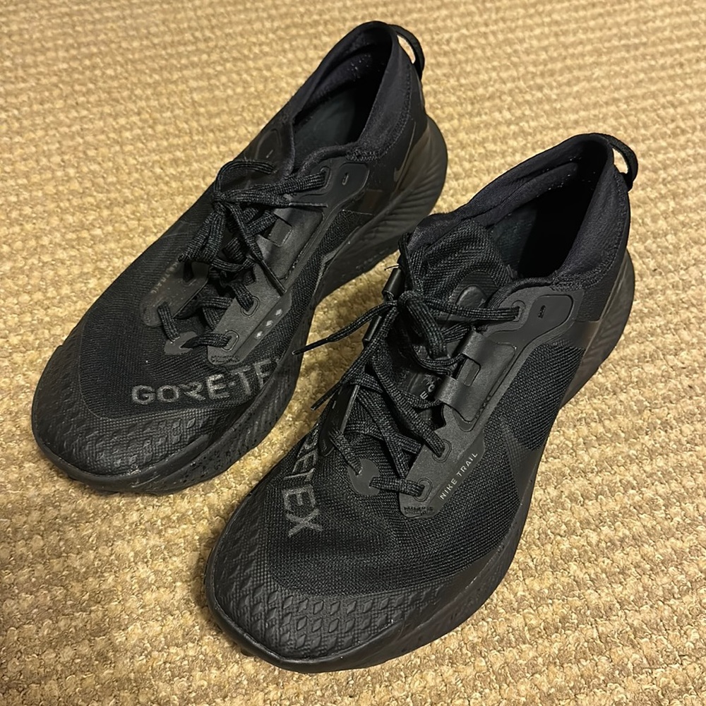 Nike Pegasus Trail Goretex